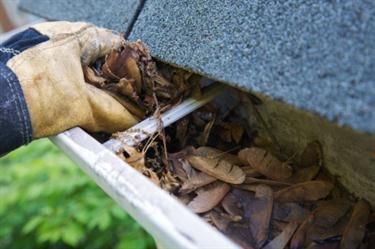 Cleaning gutter in Kendall Park, NJ.