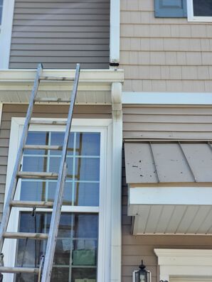 Gutter Cleaning in New Brunswick, NJ (2)